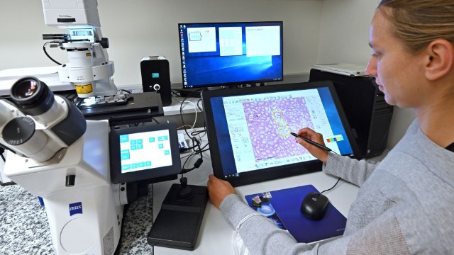 Gewebeproben zellgenau ausschneiden