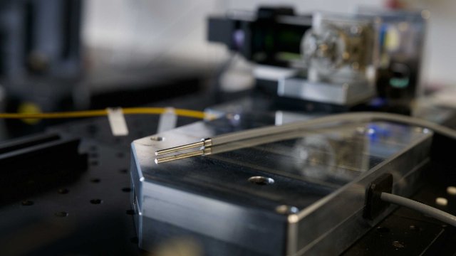 Krebs-Diagnose in Echtzeit