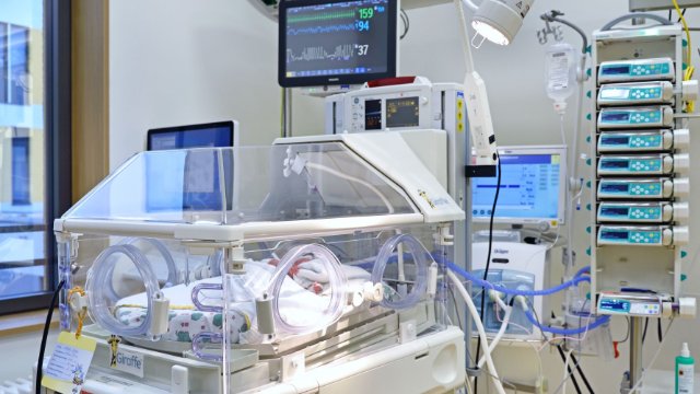 Innovative UVC-Desinfektion für Inkubatoren 