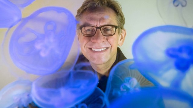 Neuer Leiter des Phyletischen Museums