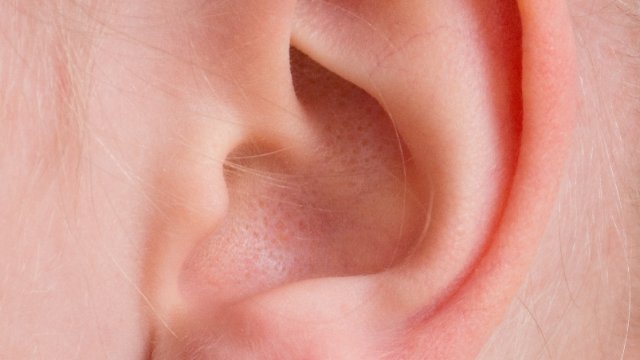 Studien: Hören mit Cochlea-Implantaten verbessern
