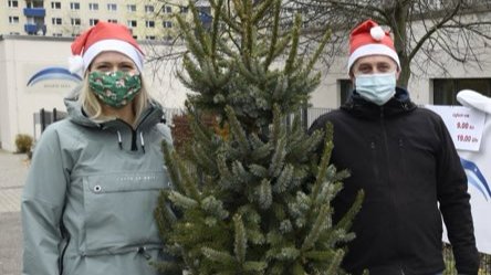 Weihnachtsbaumaktion des Hospizes