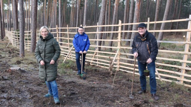 Stadtforst: Stadtwerke Energie pflanzten Bäume 