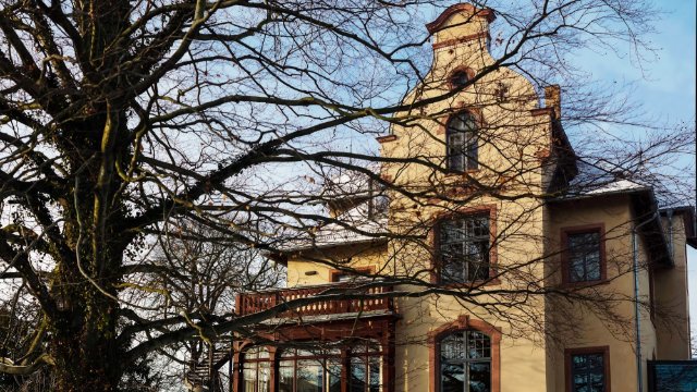 Rosenthal-Stipendium für Literatur & Stadtschreibung 