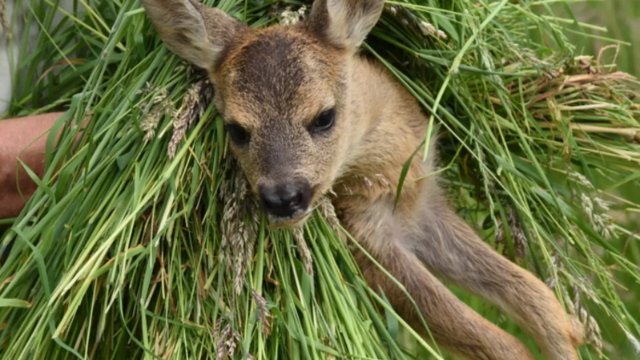 Rund 184 000 Euro auf Stadtwerke-Spendenplattform gesammelt