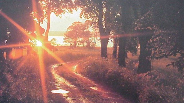 Erarbeitung des Klima-Aktionsplans gestartet                 