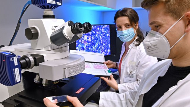 Nierenschädigung bei Diabetes gezielt behandeln