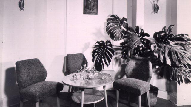 Forschung zur Psychotherapie in der DDR