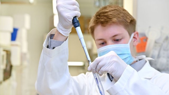 Master in Molekularmedizin 