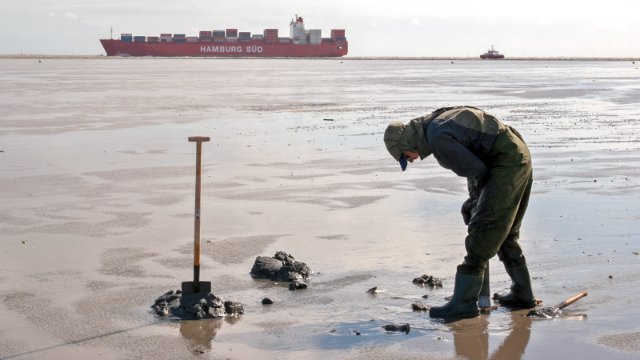 Geförderte Forschungsprojekte zum Mitmachen