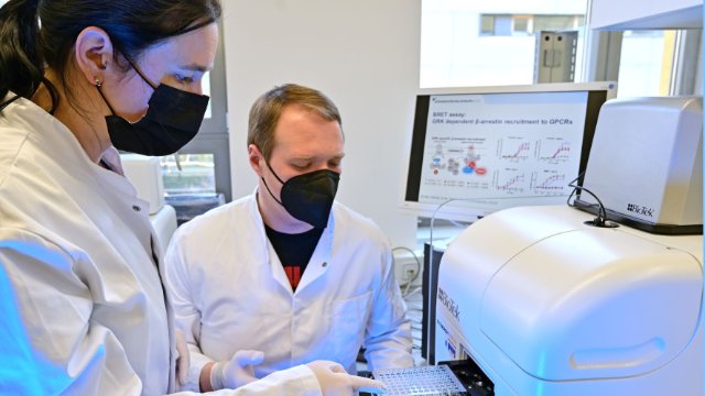 Regulation von Rezeptoren systematisch untersuchen