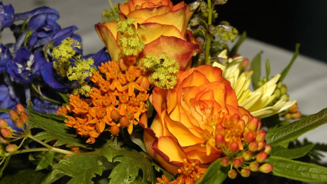 Mit Bundesverdienstorden ausgezeichnet