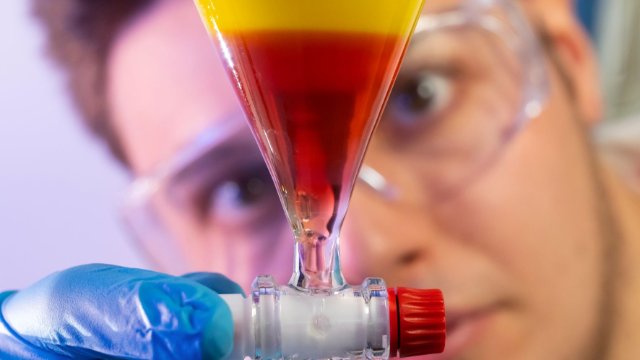 Unbekannter Stoffwechselweg in Pilzen entdeckt 