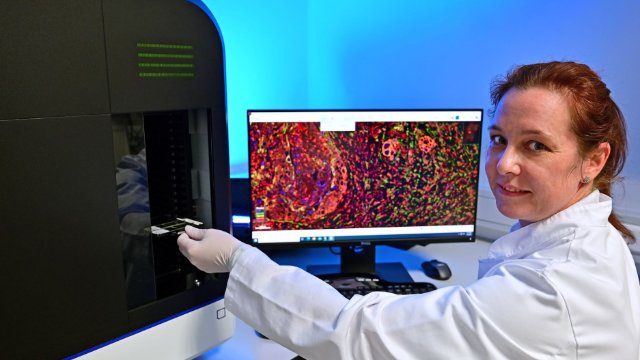 Mechanismen der Tumorentstehung untersuchen