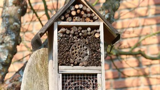 Malwettbewerb: Insektenhotels werden verlost