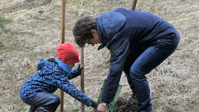 Frühjahrsaufforstung 2022: Helfende Hände willkommen