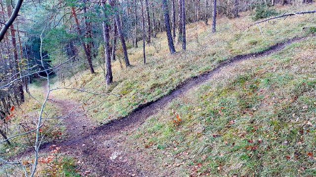 Diskussion mit Downhill-Fahrradfahrern