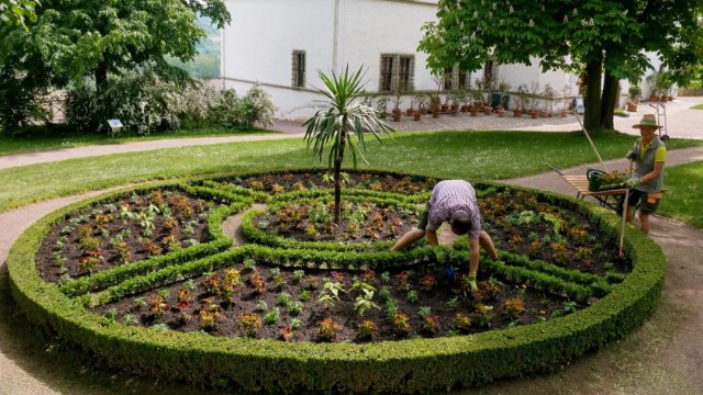 Sommerflor in den Dornburger Schlossgärten 
