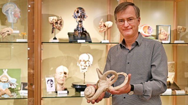 Anatomie-Dauerausstellung vollständig überarbeitet