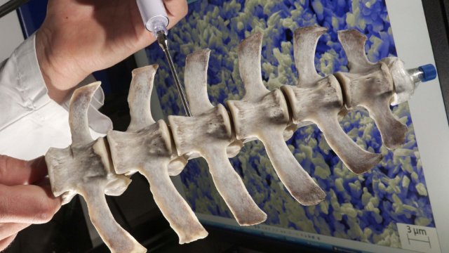 Universität Jena mit zwei neuen Graduiertenkollegs 