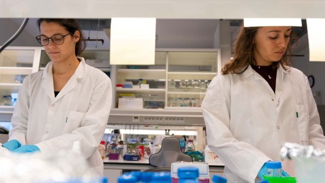 Online-Ausstellung: Forschung junger Wissenschaftler