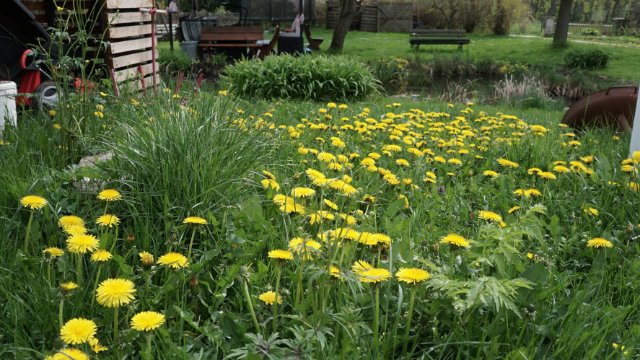 Universität mit bundesweitem Garten-Forschungsprojekt 