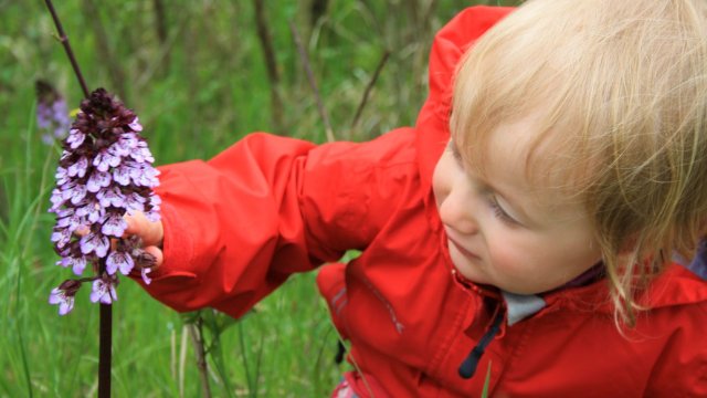 Einladung zu Orchideenführungen
