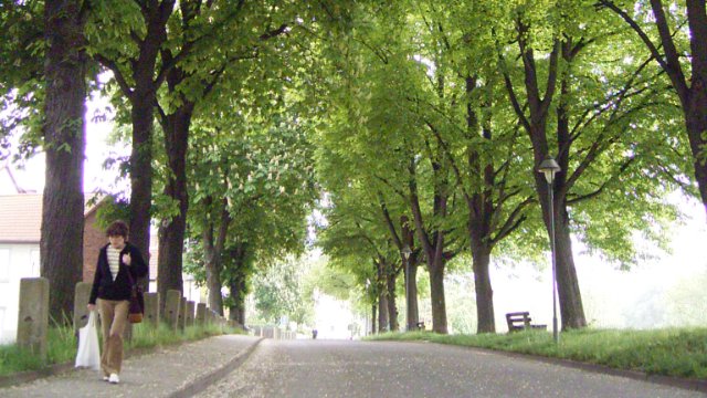 Stadt schreibt Preis für Grüne Oasen in Jena aus