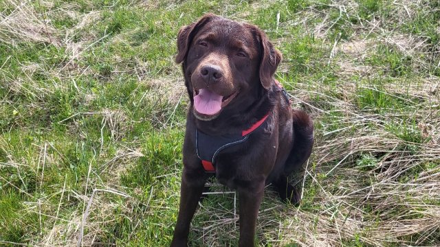 Neue Sonderausstellung im Stadtmuseum Jena  