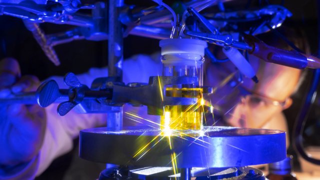 Zwei Sonderforschungsbereiche der Universität erhalten weitere Förderung der DFG