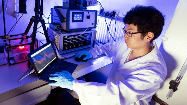 Wissenschaftler der Universität entwickelten mechanolumineszente Materialsysteme