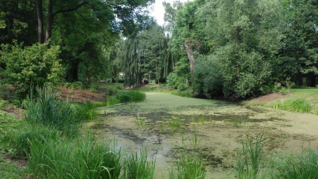 Workshop der Lenkungsgruppe „Paradies 21“