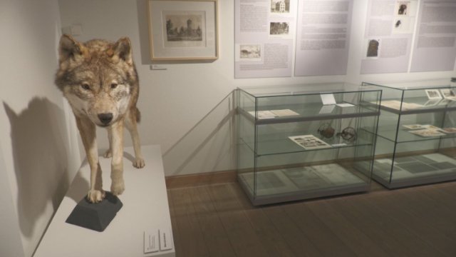Stadtmuseum: Yoga zur Mittagspause