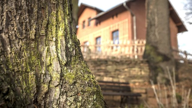 Busfahrt zum Sommerfest im Museum „Brehms Welt“