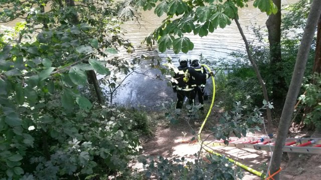 Großeinsatz der Feuerwehr im Paradiespark - Keine Gefährdung für Bevölkerung