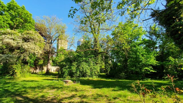 Festgottesdienste am Sonntag