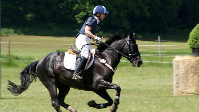 Reitturnier in Zöthen