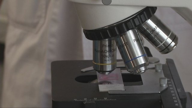 Erfolge in der Krebsforschung