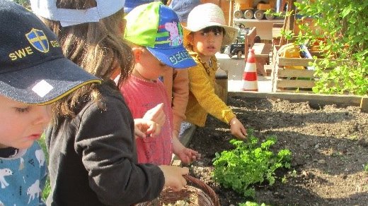 AWO-Kindergarten „Zum Leutratal“ gehört zu den Gewinnern des Kinder- und Jugend-Umweltpreises 