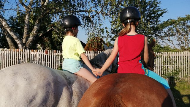 Musikalische Buchvorstellung im Stadtmuseum
