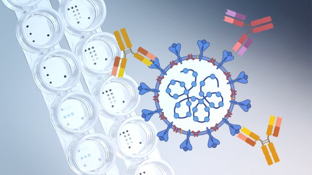 Test-Plattform aus Jena prüft Impfstatus für  Corona, Masern, Diphterie und Tetanus gleichzeitig 