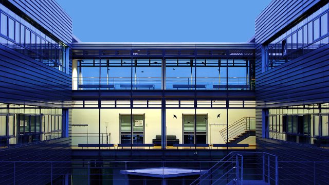 Forschung zur Biosynthese von Strychnin 