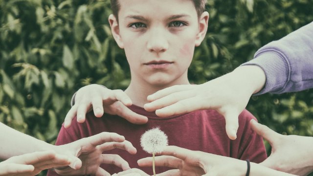 MoMoLo zeigt „Revolution der Pusteblumen“