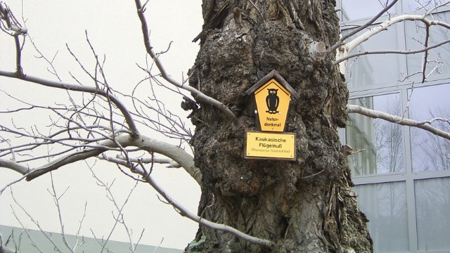 Verstärkung des Teams Naturschutz gesucht 