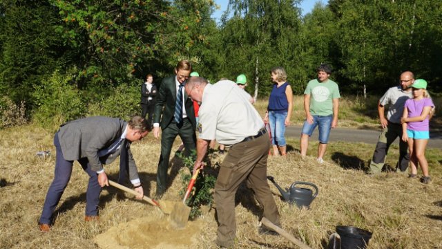 Pflanzaktion: 100 000 neue Bäume für Thüringen
