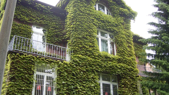 Endspurt für Grüne-Oasen-Bewerbung