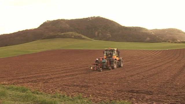 Brachflächen sichern Artenvielfalt 