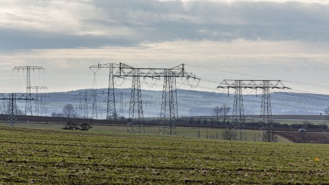 Umgestürzter Baum verursachte Stromausfall