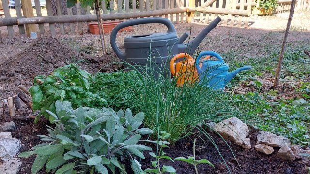 Kindergarten Kunitz: Kräuterbeet im Naschgarten