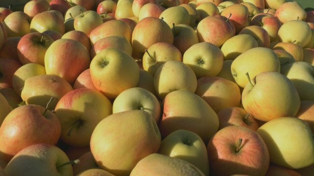 Erntedankfest in Kirche Großlöbichau